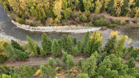 Montana Acreage For Sale in Saint Regis, MT - image 3