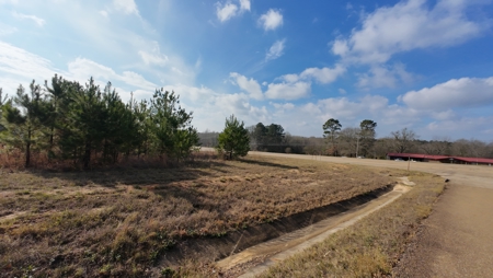 Flexible Small Lot in North East Texas. - image 13