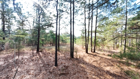 Flexible Small Lot in North East Texas. - image 2