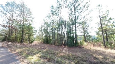 Flexible Small Lot in North East Texas. - image 1