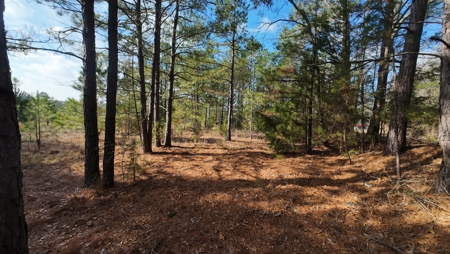 Flexible Small Lot in North East Texas. - image 12