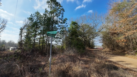 Flexible Small Lot in North East Texas. - image 5