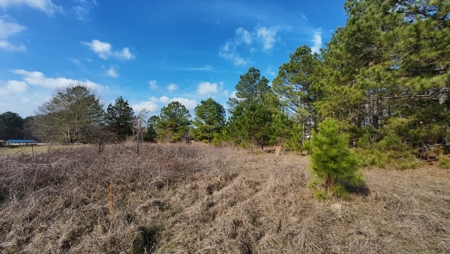 Flexible Small Lot in North East Texas. - image 10