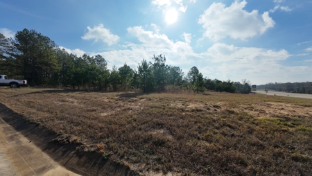 Flexible Small Lot in North East Texas. - image 7