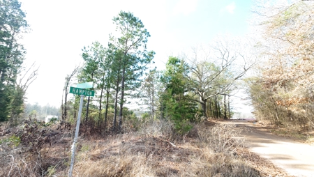 Flexible Small Lot in North East Texas. - image 4