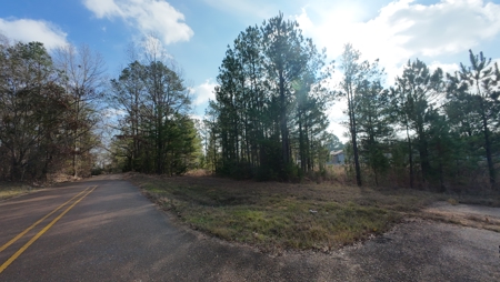 Flexible Small Lot in North East Texas. - image 8