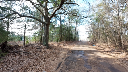 Flexible Small Lot in North East Texas. - image 3