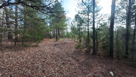 Flexible Small Lot in North East Texas. - image 9