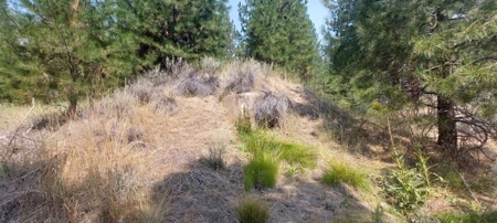 Country Home on 40 Acres in Lassen County - image 22