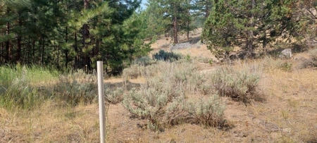 Country Home on 40 Acres in Lassen County - image 25