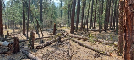 Country Home on 40 Acres in Lassen County - image 31
