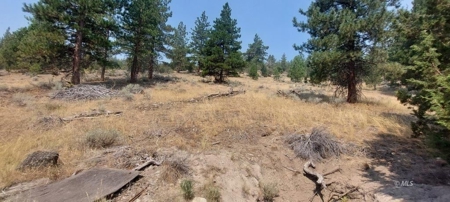 Country Home on 40 Acres in Lassen County - image 27