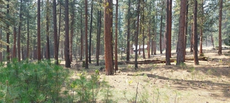 Country Home on 40 Acres in Lassen County - image 28