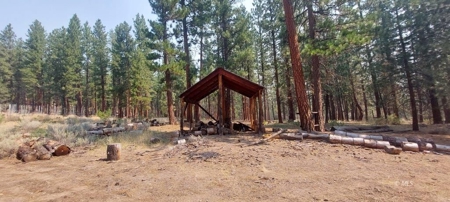 Country Home on 40 Acres in Lassen County - image 19