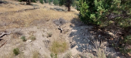 Country Home on 40 Acres in Lassen County - image 26