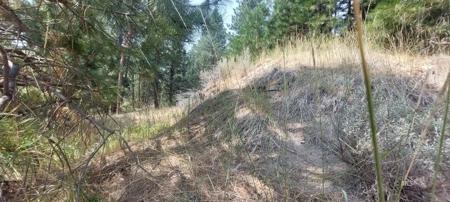 Country Home on 40 Acres in Lassen County - image 21