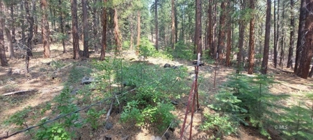 Country Home on 40 Acres in Lassen County - image 30
