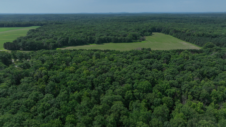 Legacy Whitetail Retreat — 65 Acres with New Custom Hunting Cabin - image 43