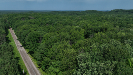 Legacy Whitetail Retreat — 65 Acres with New Custom Hunting Cabin - image 42