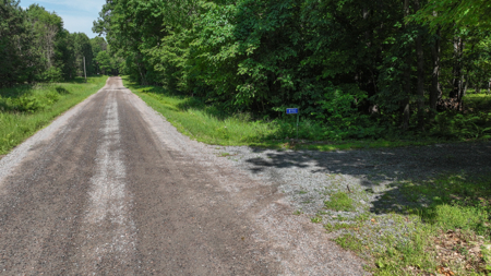 Legacy Whitetail Retreat — 65 Acres with New Custom Hunting Cabin - image 4