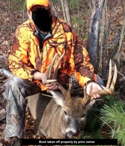 Legacy Whitetail Retreat — 65 Acres with New Custom Hunting Cabin - image 38