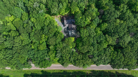 Legacy Whitetail Retreat — 65 Acres with New Custom Hunting Cabin - image 3