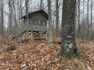 Legacy Whitetail Retreat — 65 Acres with New Custom Hunting Cabin - image 41