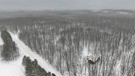 Legacy Whitetail Retreat — 65 Acres with New Custom Hunting Cabin - image 34
