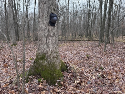 Legacy Whitetail Retreat — 65 Acres with New Custom Hunting Cabin - image 44