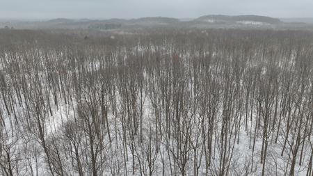 Legacy Whitetail Retreat — 65 Acres with New Custom Hunting Cabin - image 40