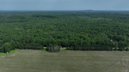 Legacy Whitetail Retreat — 65 Acres with New Custom Hunting Cabin - image 41
