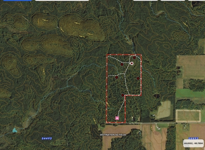 Legacy Whitetail Retreat — 65 Acres with New Custom Hunting Cabin - image 46