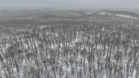 Legacy Whitetail Retreat — 65 Acres with New Custom Hunting Cabin - image 35