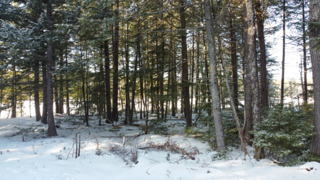 Beautiful Lakefront Camp on Crooked Pond - image 9