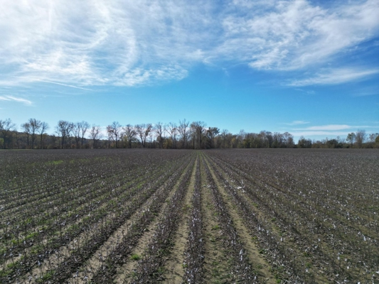 Industrial Development Tract – Data Center, Power & Energy