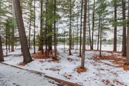 Chain O' Lakes Charm with Dake Lake Frontage - image 34