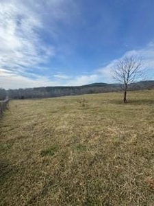 Non-Electric Farmstead on +/- 11.5 Acres - image 5