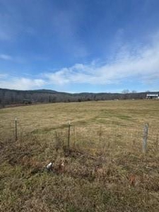 Non-Electric Farmstead on +/- 11.5 Acres - image 6
