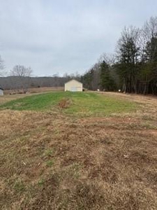 Non-Electric Farmstead on +/- 11.5 Acres - image 4