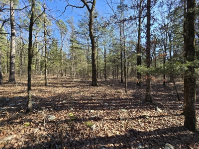 Country Home with Acreage - Adjoining National Forest - image 35