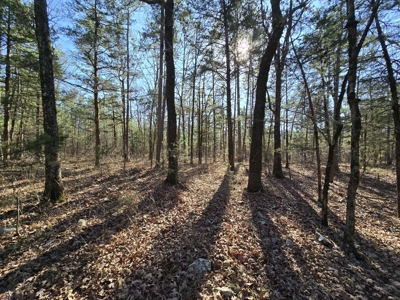 Country Home with Acreage - Adjoining National Forest - image 36