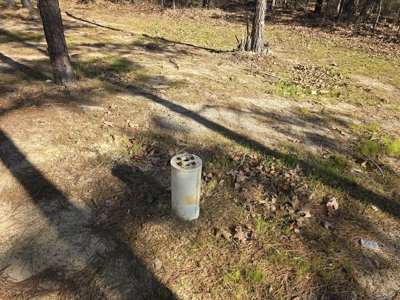 Country Home with Acreage - Adjoining National Forest - image 33