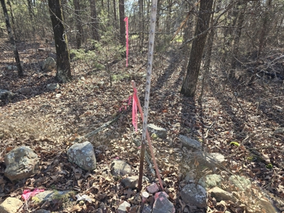 Country Home with Acreage - Adjoining National Forest - image 37