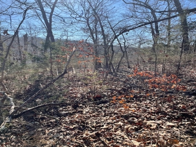 Southeast Facing Building Site On Wooded 37 Acre Ozark Mountain - image 7