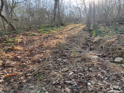 Southeast Facing Building Site On Wooded 37 Acre Ozark Mountain - image 2