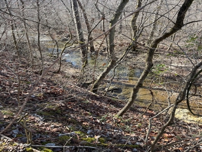 Southeast Facing Building Site On Wooded 37 Acre Ozark Mountain - image 18