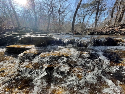 Southeast Facing Building Site On Wooded 37 Acre Ozark Mountain - image 11