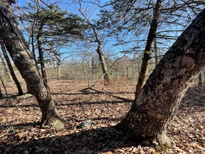 Southeast Facing Building Site On Wooded 37 Acre Ozark Mountain - image 1
