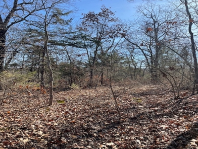 Southeast Facing Building Site On Wooded 37 Acre Ozark Mountain - image 3