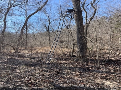 Southeast Facing Building Site On Wooded 37 Acre Ozark Mountain - image 14